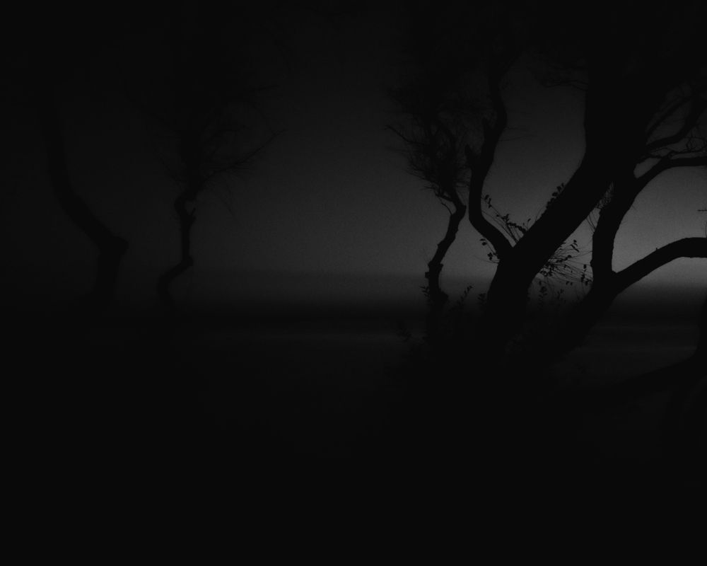 Photograph by Деонис Григ