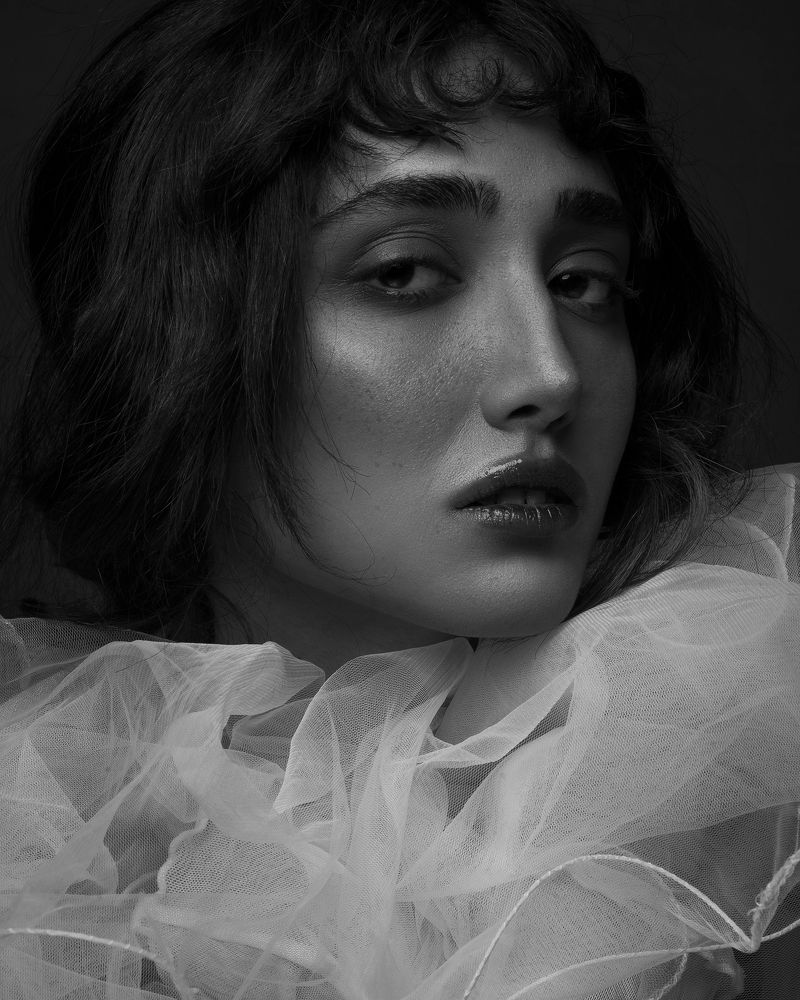 Photograph by Shadi Hafez daneshmand