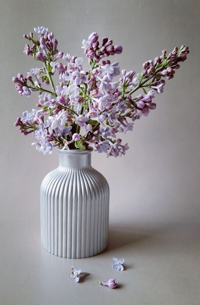 Photograph by Ольга Трыканова