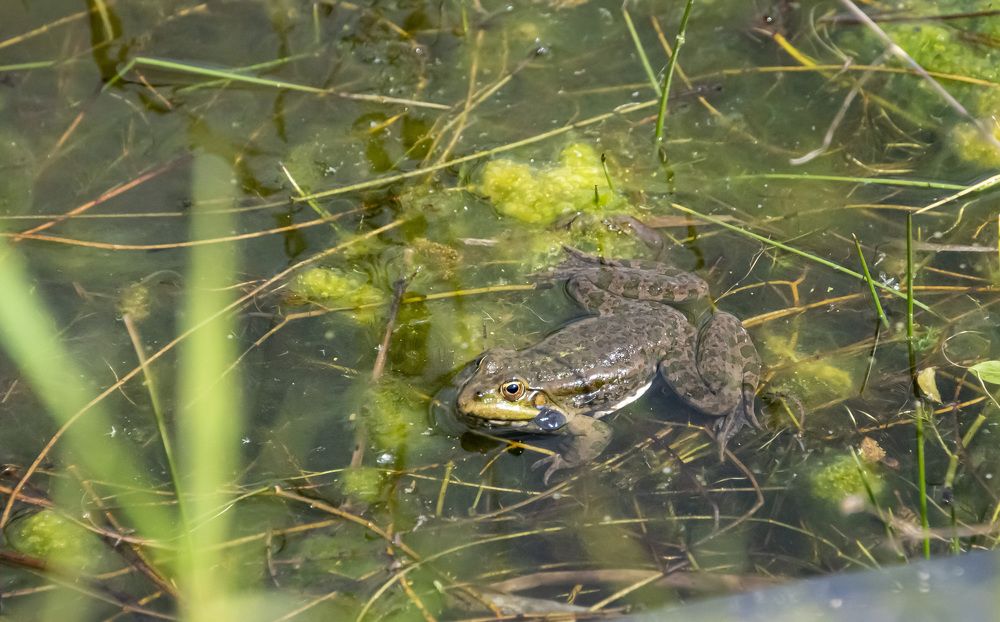 Photograph by Нина Спинжар