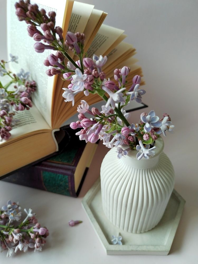 Photograph by Ольга Трыканова