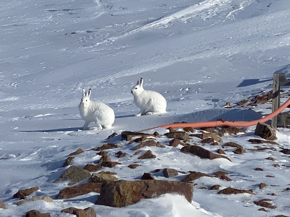 Фотография автора Наталья Вертугина