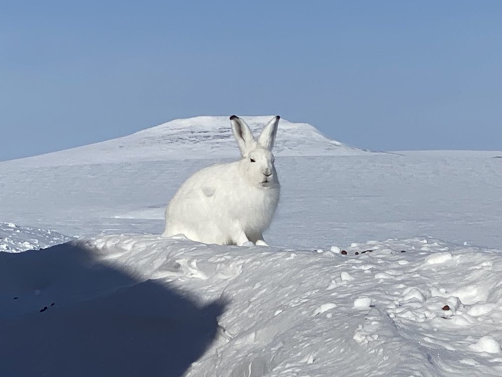 Фотография автора Наталья Вертугина