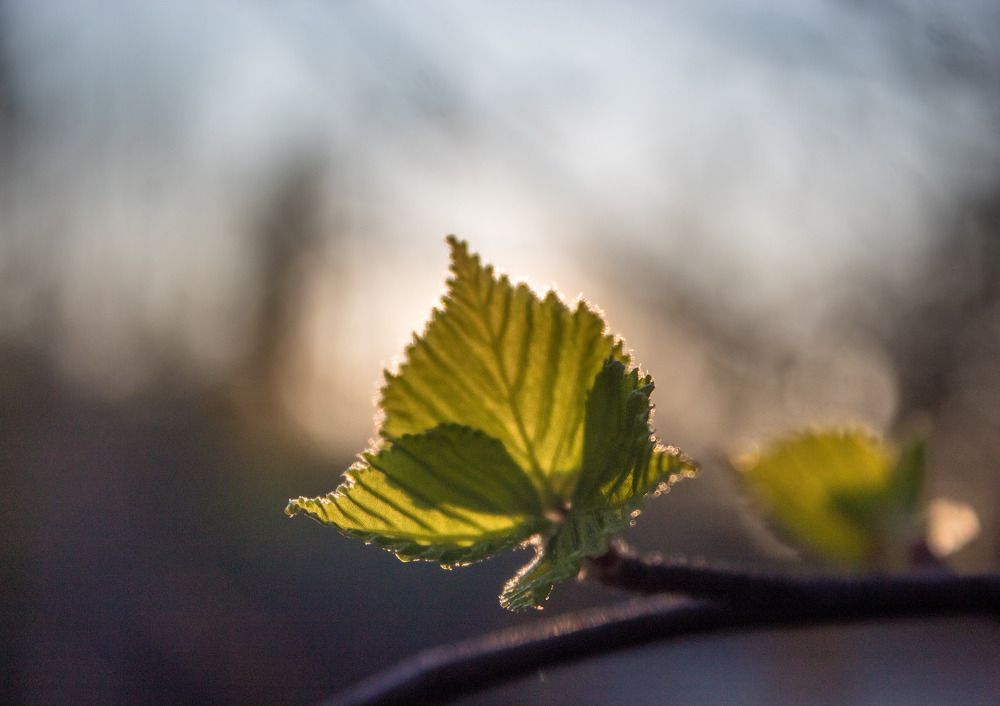 Photograph by Михаил Мархинин