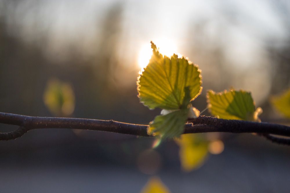 Photograph by Михаил Мархинин