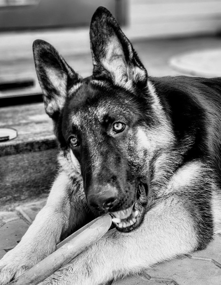 Photograph by Надежда Кудрявцева