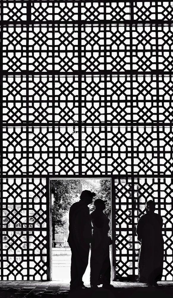 Photograph by Данил Макаренко