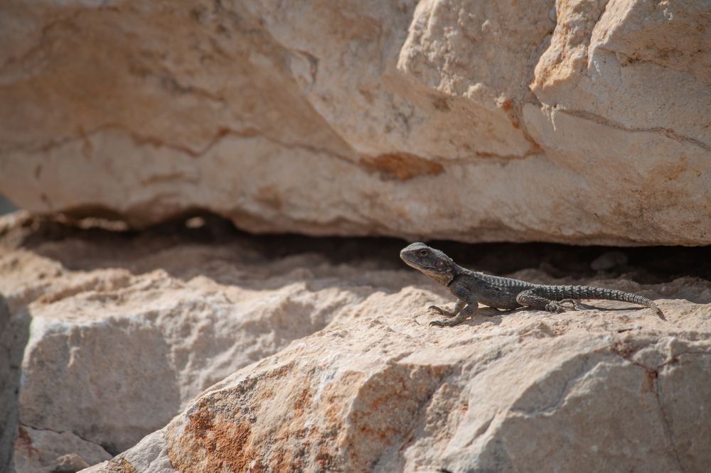 Photograph by Владислав Капанов