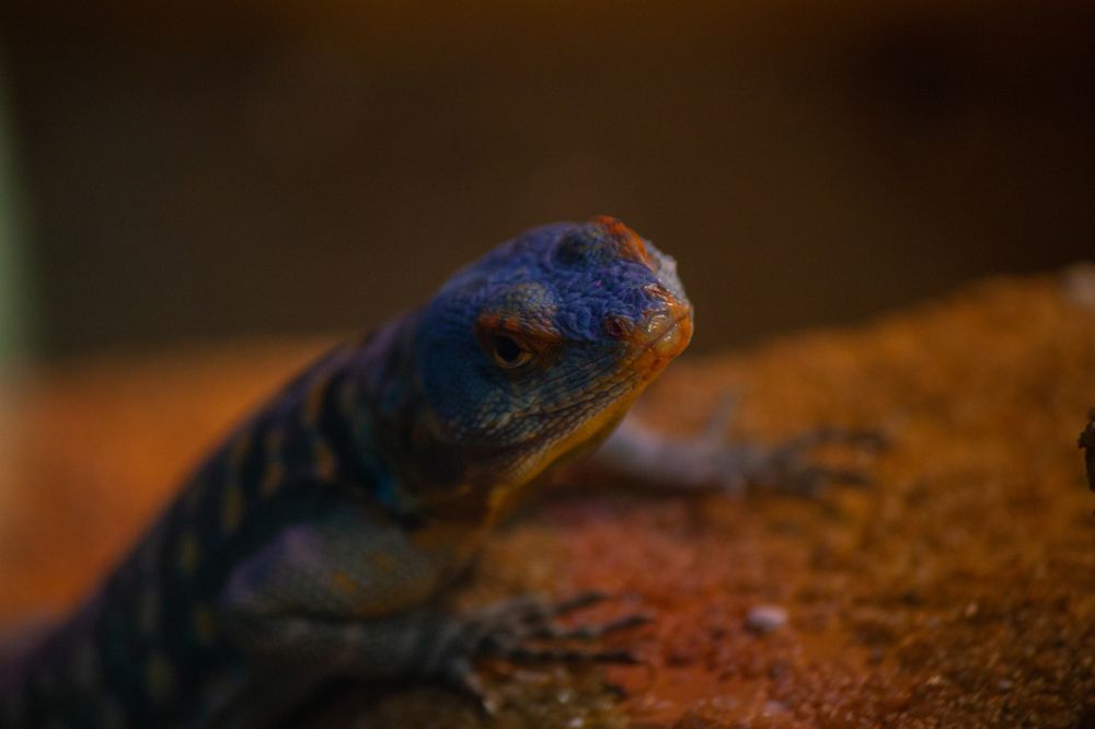 Photograph by Владислав Капанов