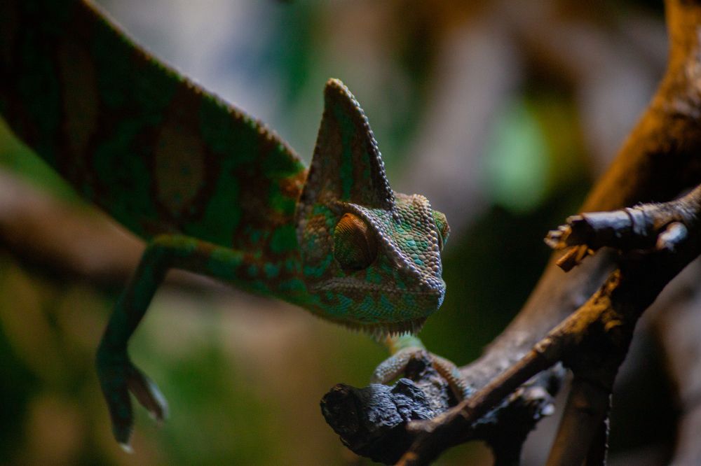 Photograph by Владислав Капанов