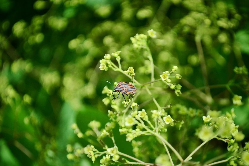 Photograph by Светлана Мазурова