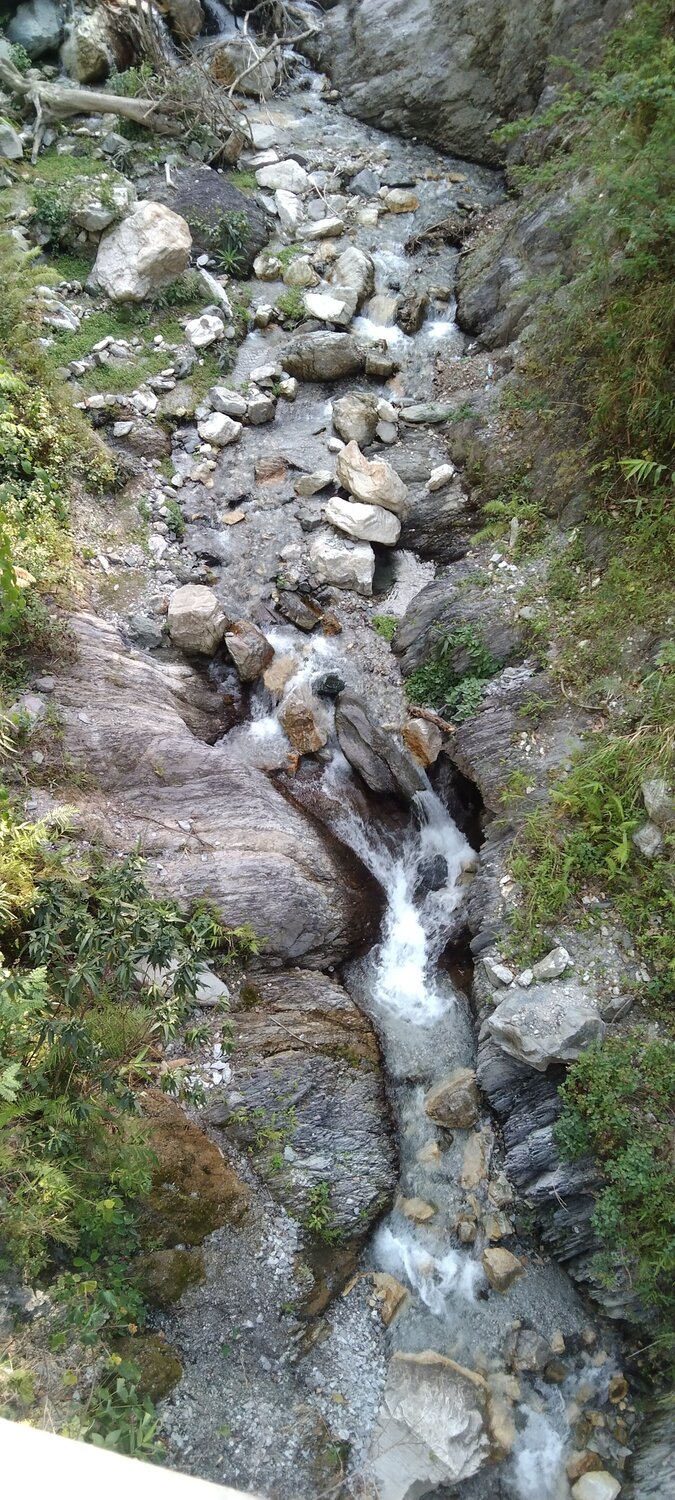Photo #9138009