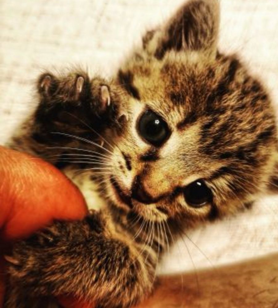 Photograph by Nikolett Mengyi