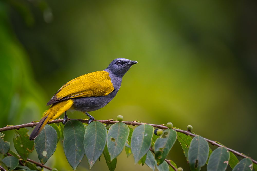 Photograph by Lucas Oh