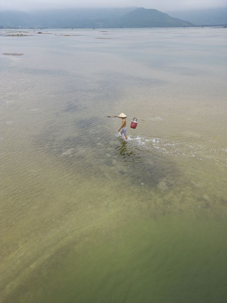 Photograph by Dung Pham