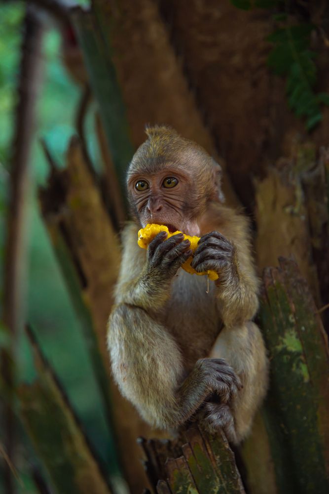 Photograph by Елена Прохорова