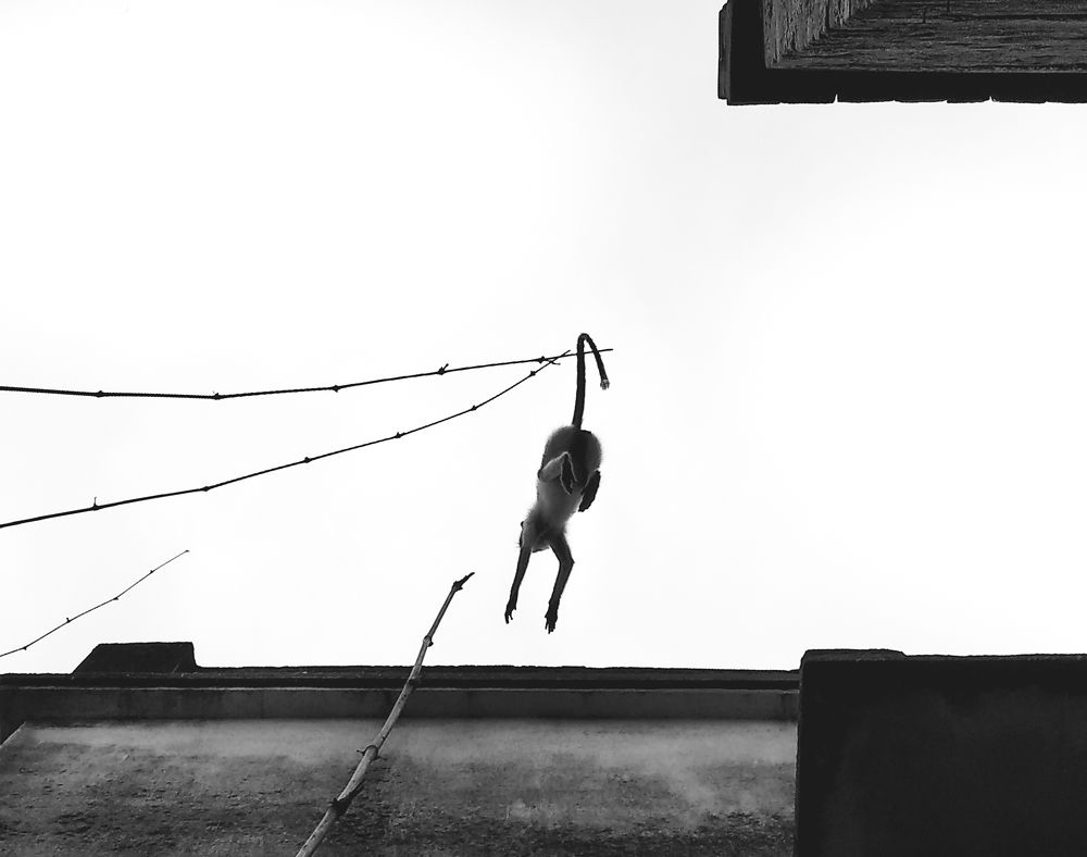 Hanging way