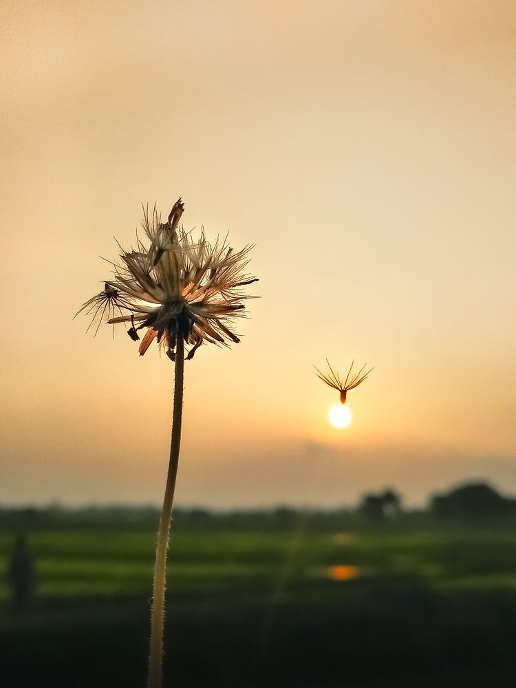 Photograph by Ayan Majee