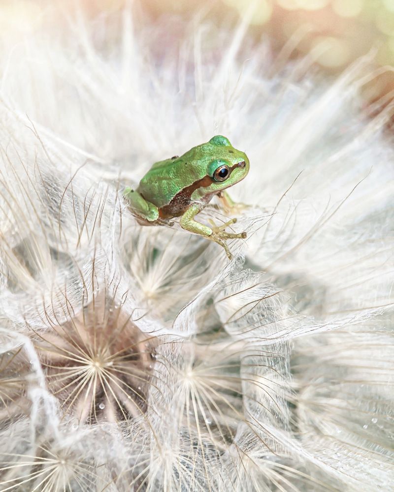 Photograph by Людмила Коныгина