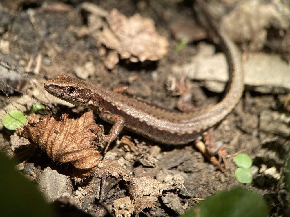 Photograph by Людмила Коныгина