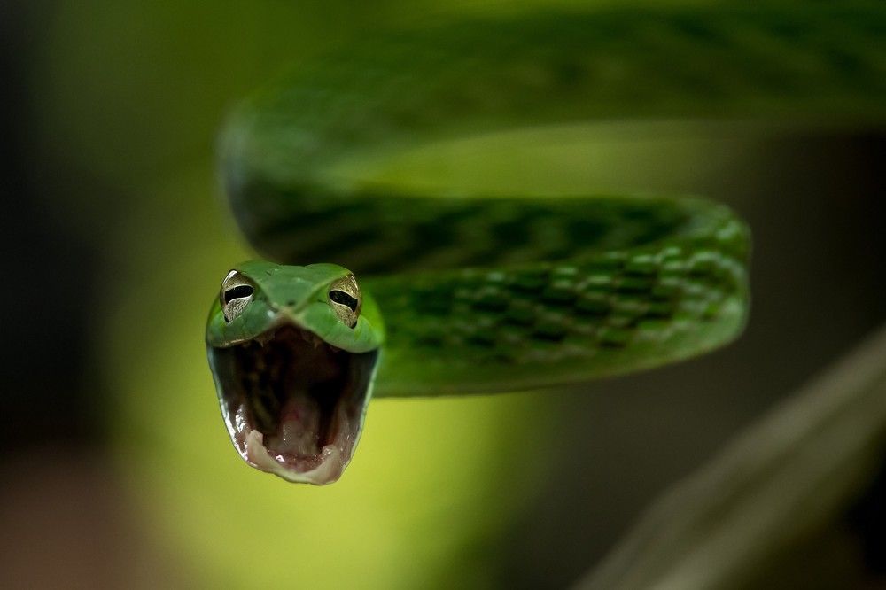 Photograph by Rahul j