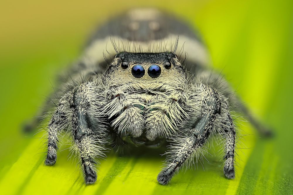 Photograph by Jacob Ng