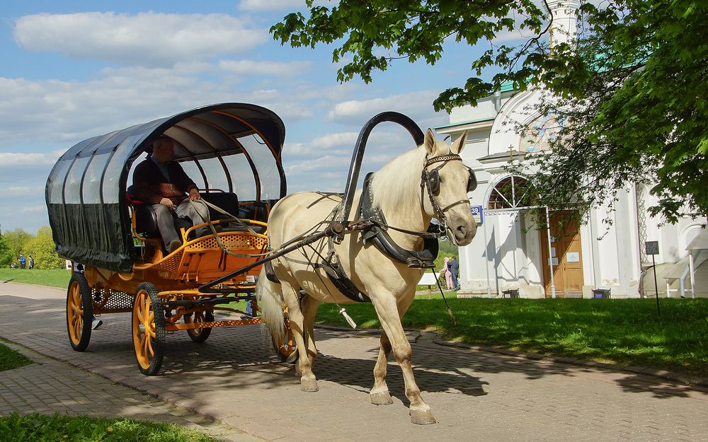 Фотография автора Вера Бокарева