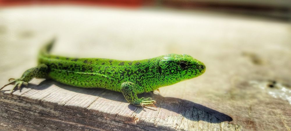 Photograph by Валентин Волк