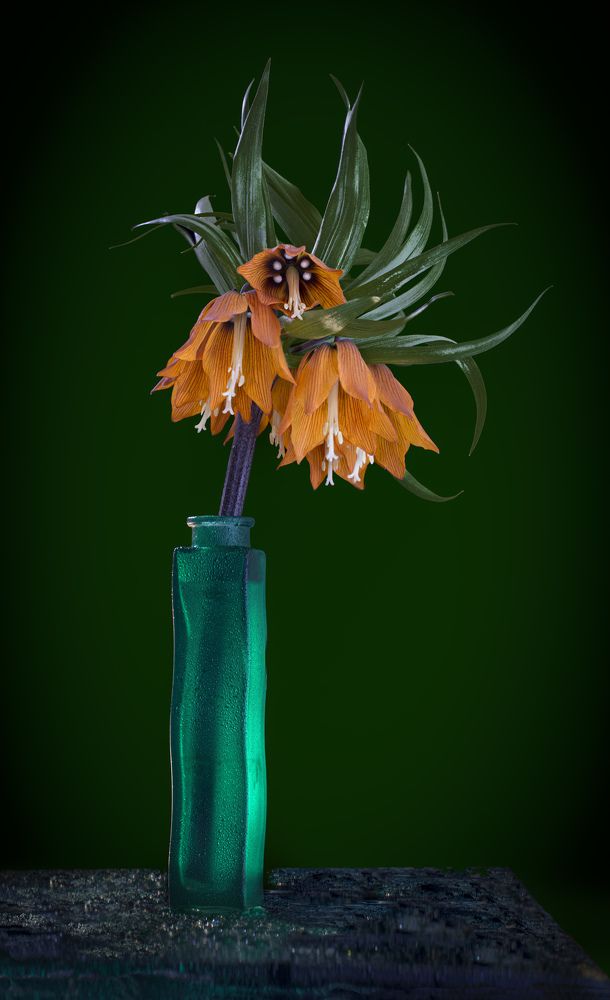 Фотография автора Черновол Валентин