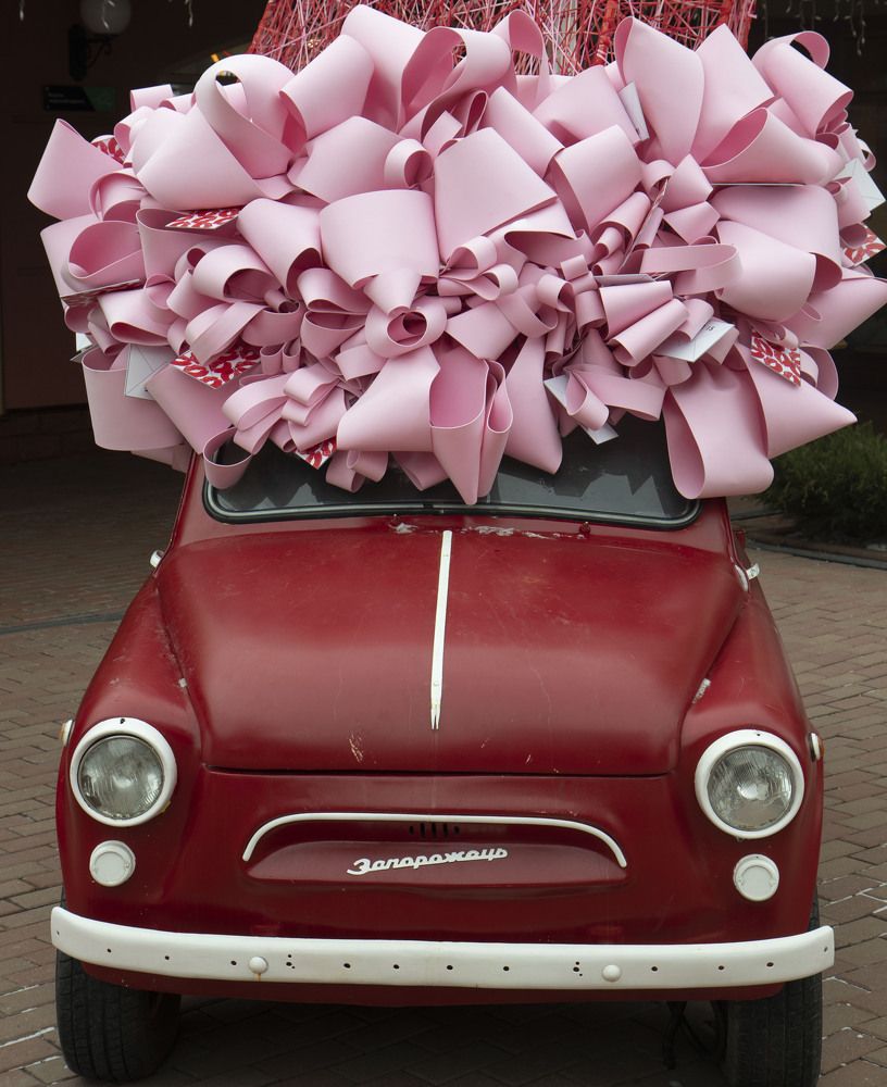 Photograph by владимир Заворотный