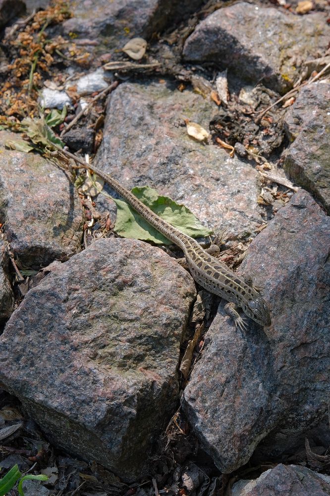 Photograph by Ирина Дегтярева