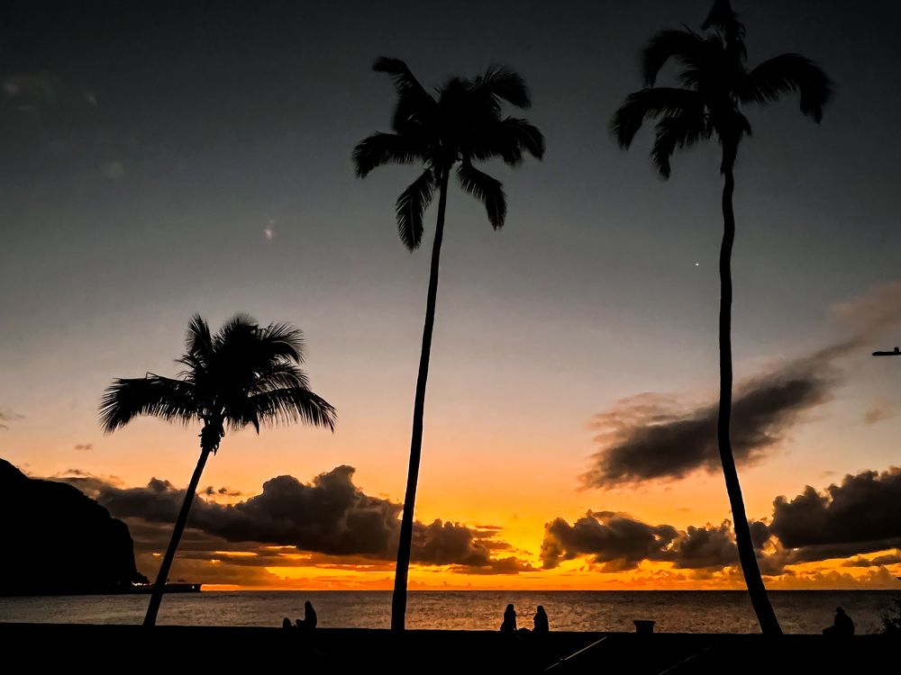 Photograph by Christine ECHEVET-ADAM de VILLIERS