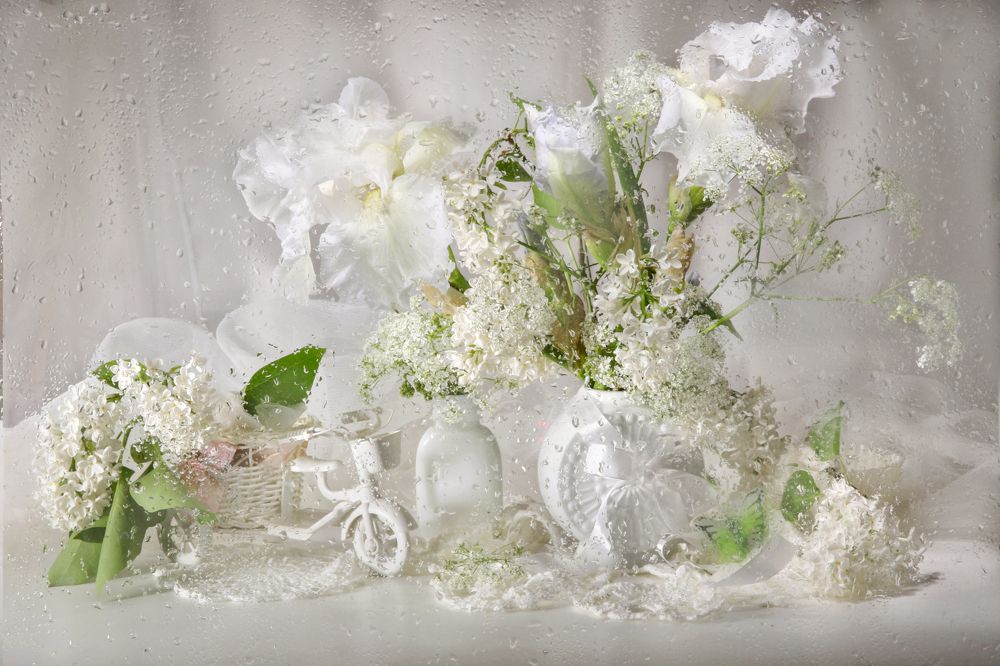 Photograph by Шруб (Беляева) Татьяна