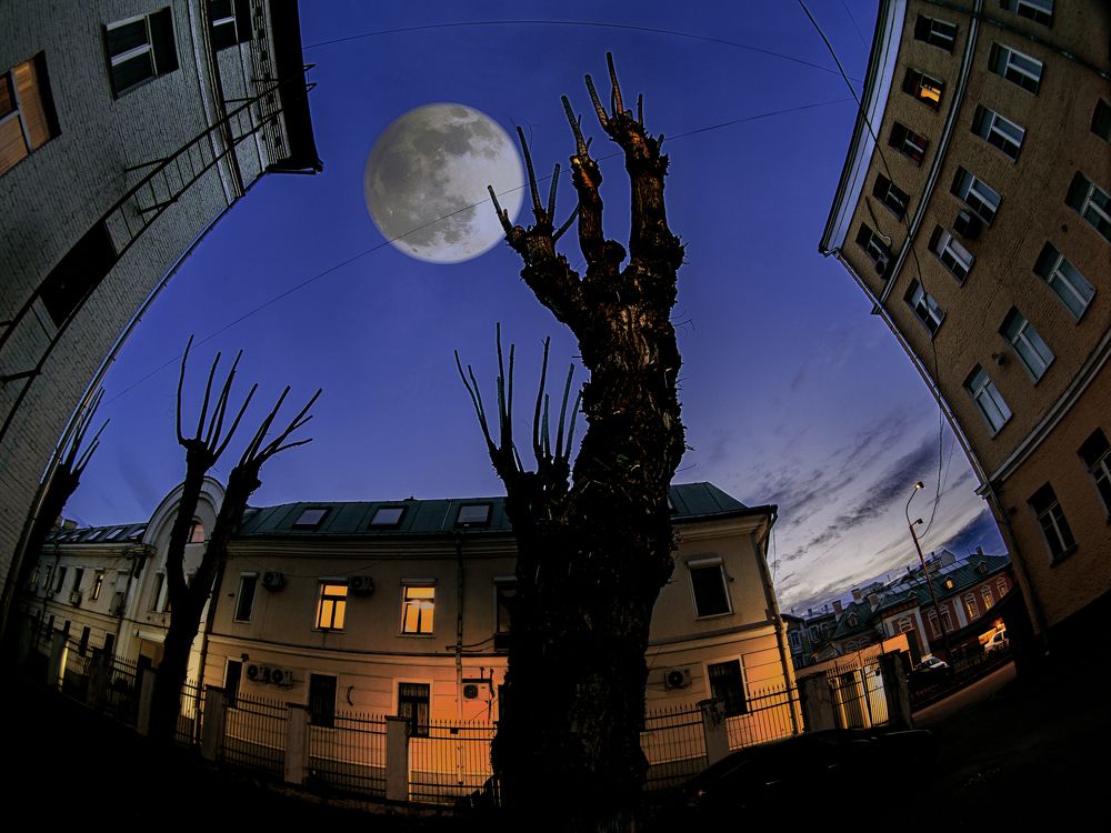 Photograph by Иван Труфанов