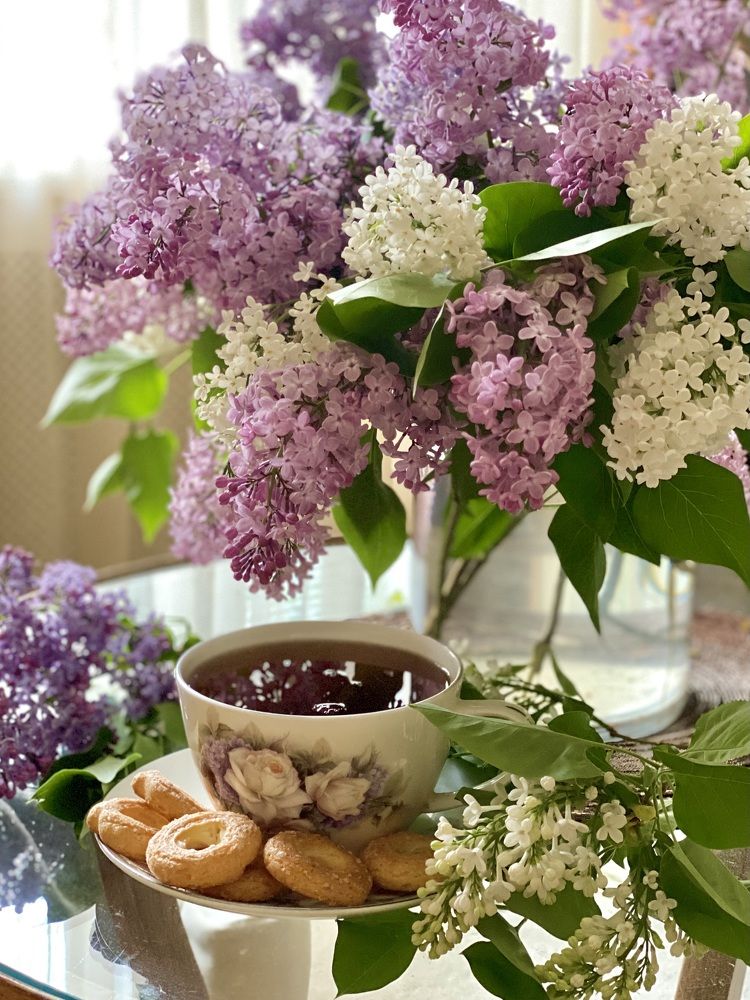 Фотография автора Ольга Горюнова