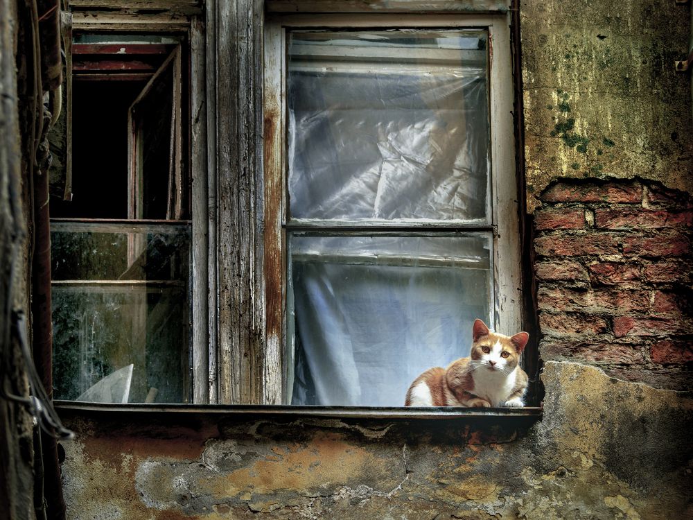 Photograph by Иван Труфанов