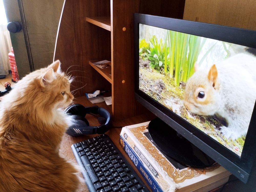 Photograph by Надежда Болтунова