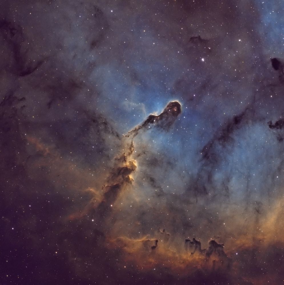 Photograph by Алексей Лященко