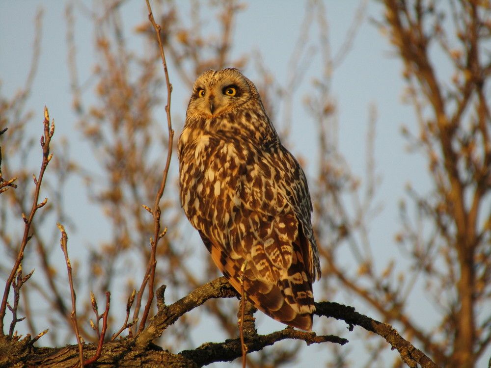 Photograph by Сергей Яценко