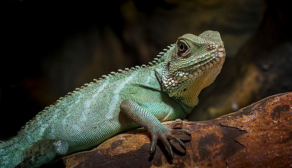 Photograph by Рихард Мисан