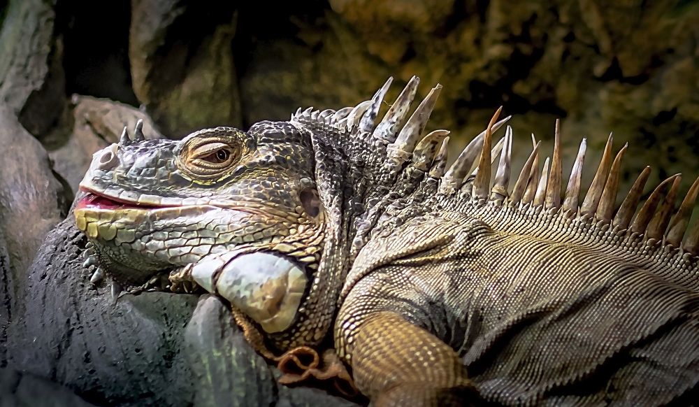 Photograph by Рихард Мисан