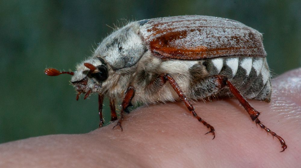 Photograph by Виталий Маслов