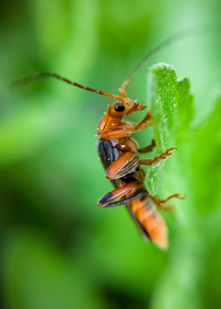 Photograph by Алексей Крукович