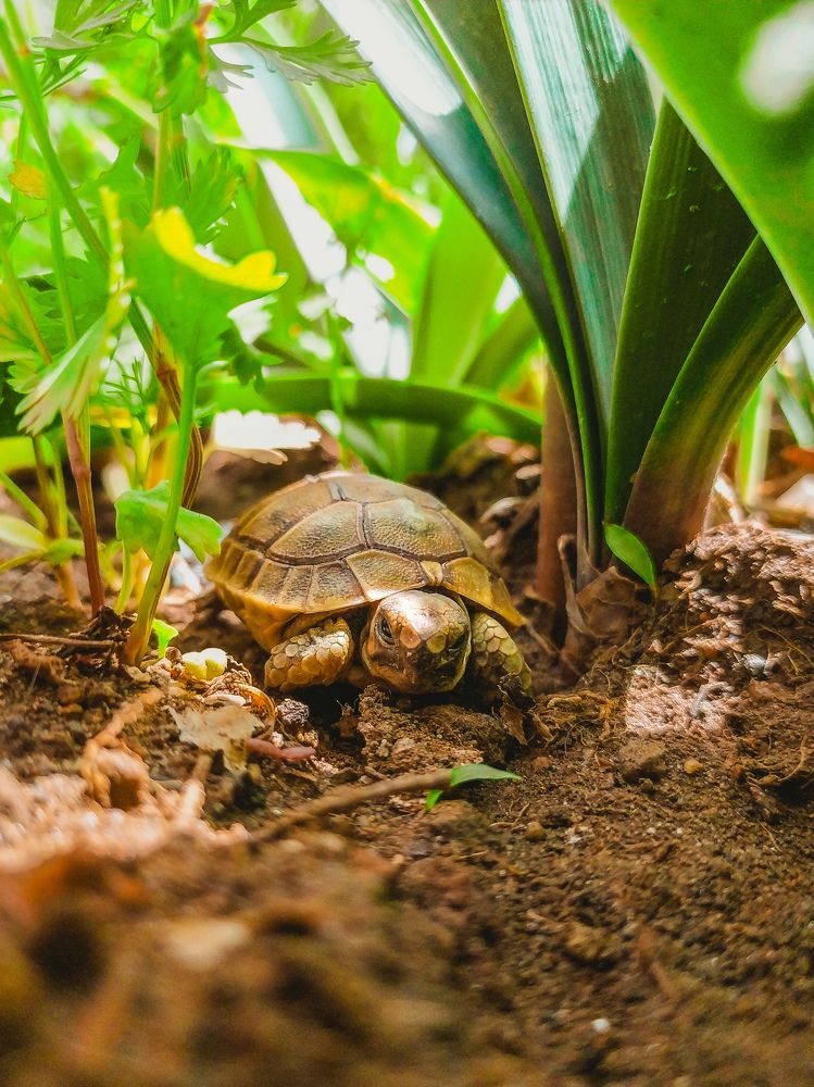 Photograph by MOHAMED ELAMIN EL BAR
