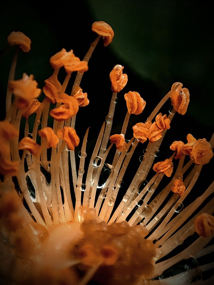 Photograph by Татьяна Долгушева