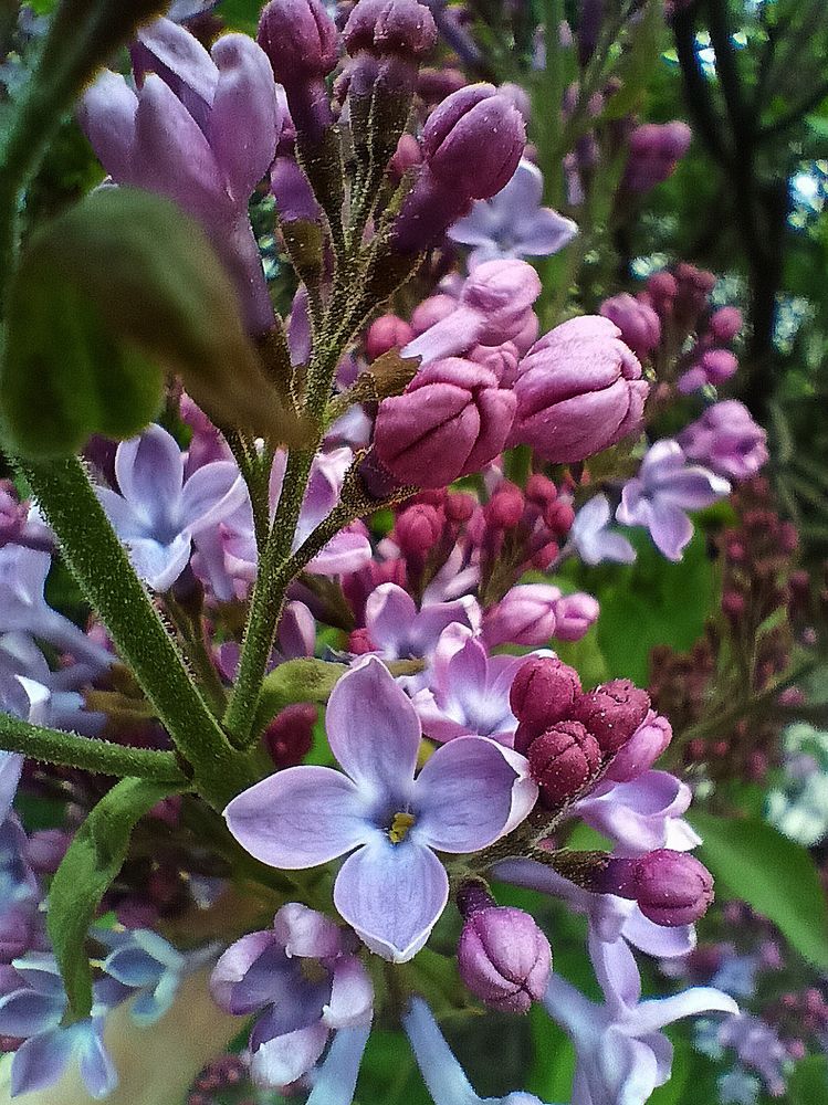 Photograph by Татьяна Ефашкина