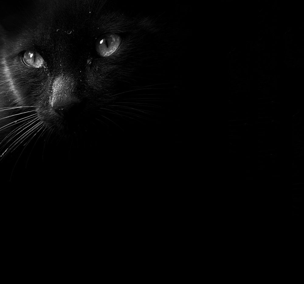 Photograph by Ahmad LOUKILI