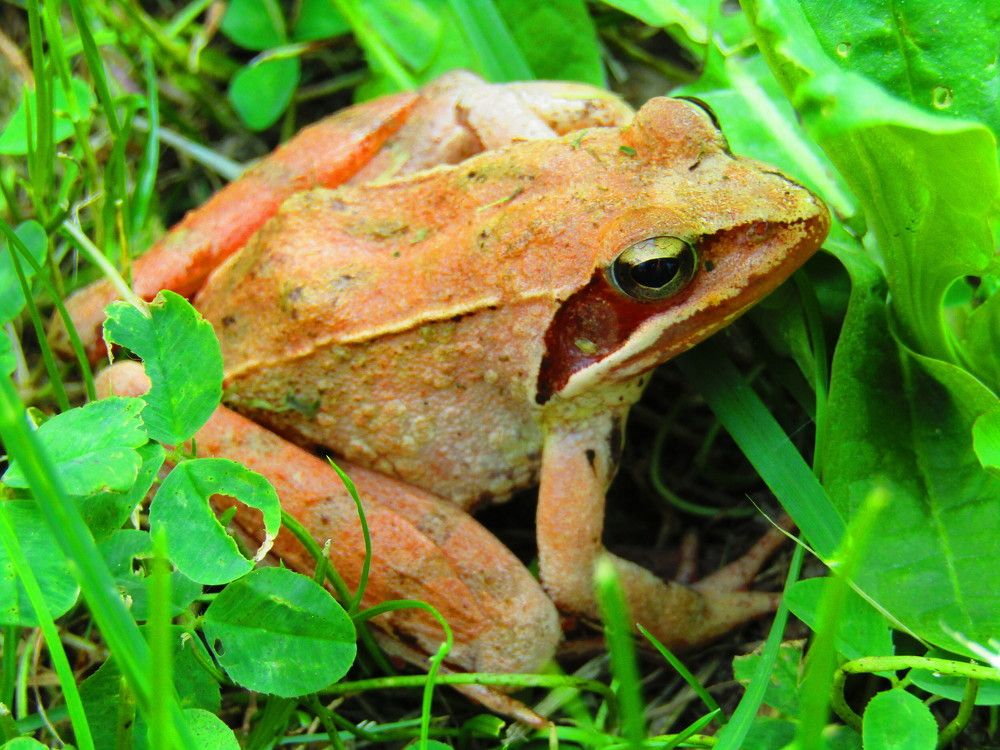 Photograph by Darko Milojevic