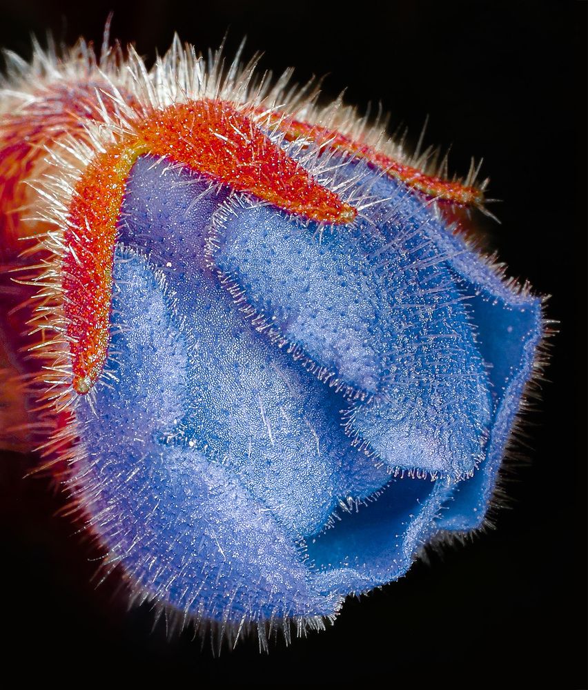 Photograph by Денис Иванов