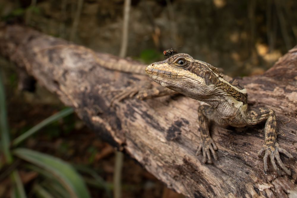 Photograph by Omar Torres